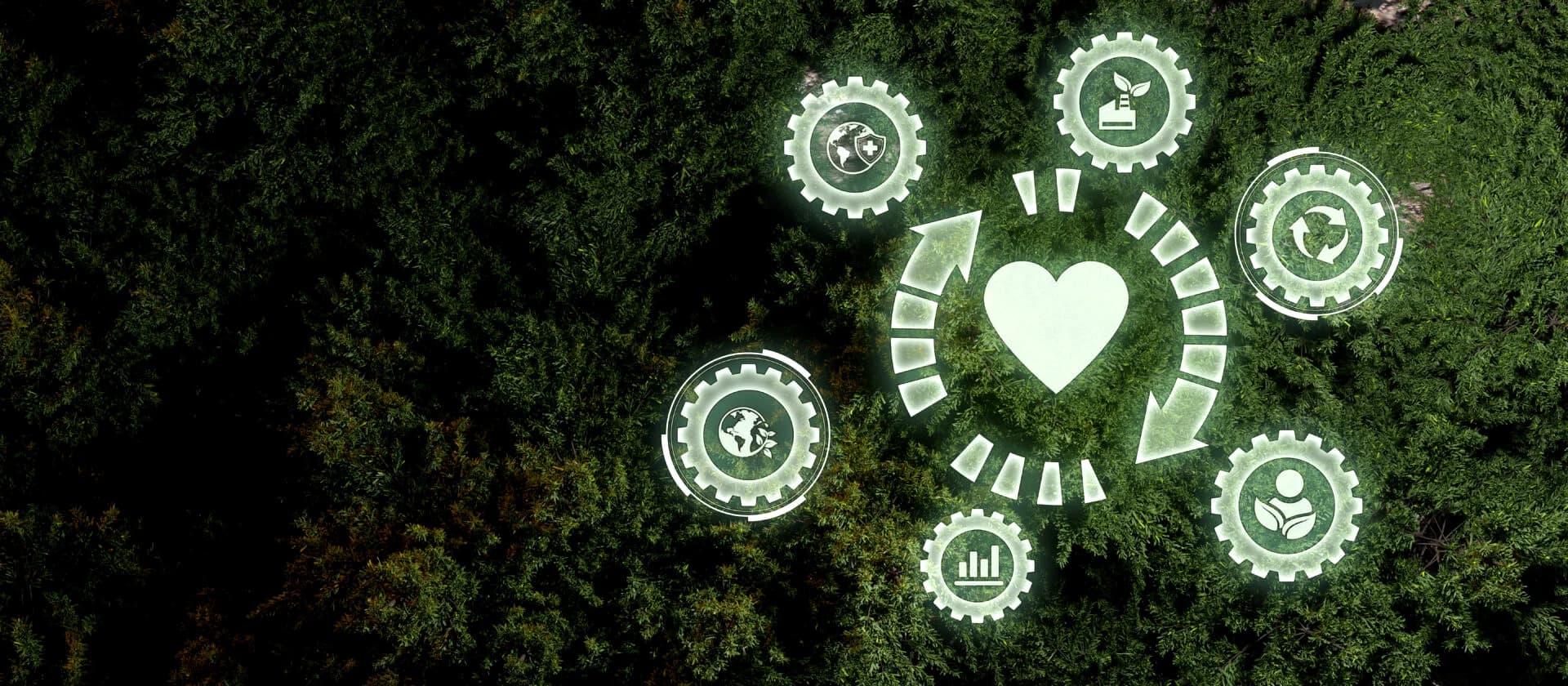 Powering a Brighter Tomorrow: The Rise of Clean Energy and Its Impact on Our World