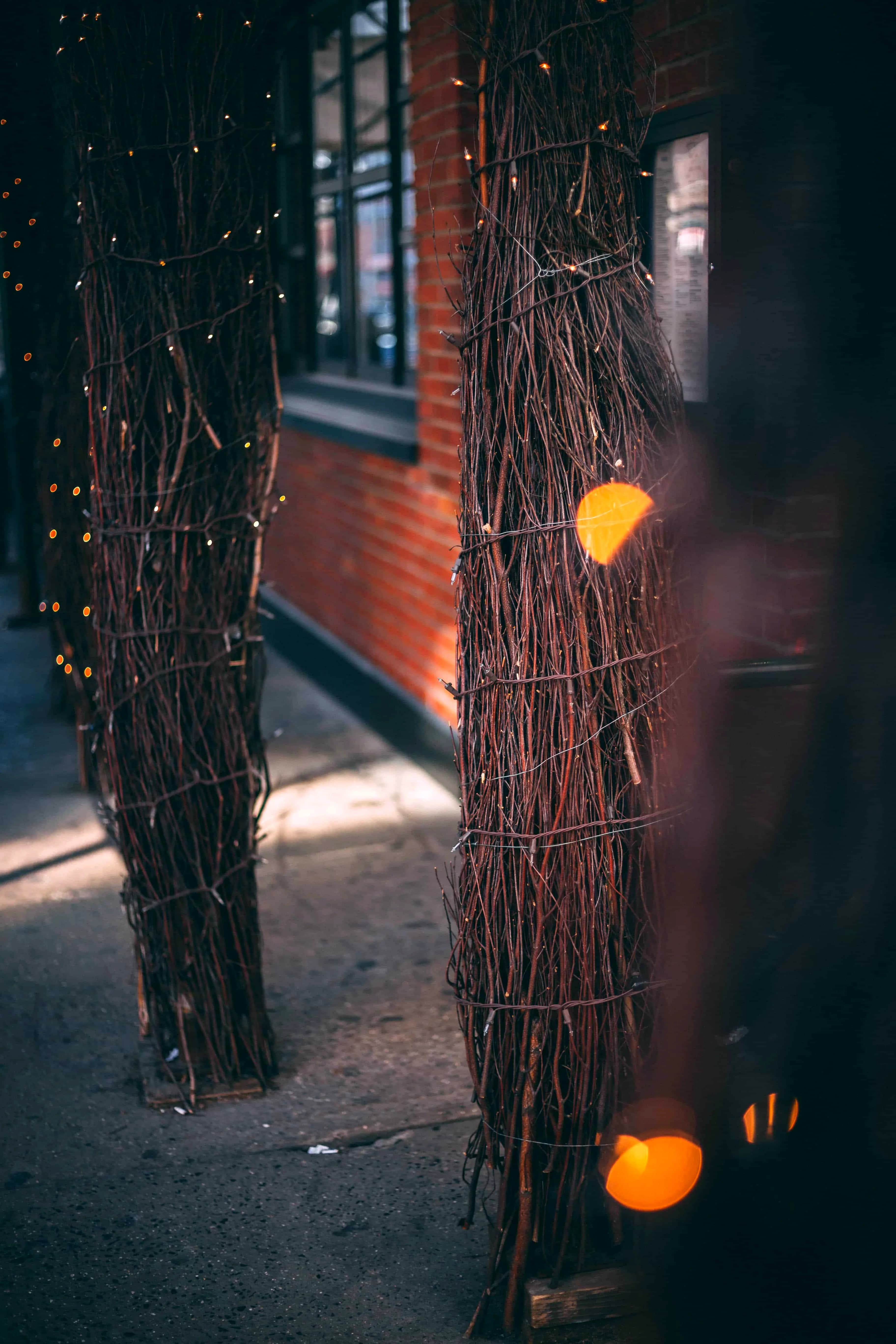 Add a Little Sparkle to Your Space: A Guide to Choosing the Best Decorative Solar Lights