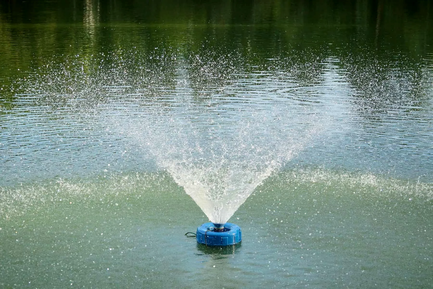 solar powered water fountain