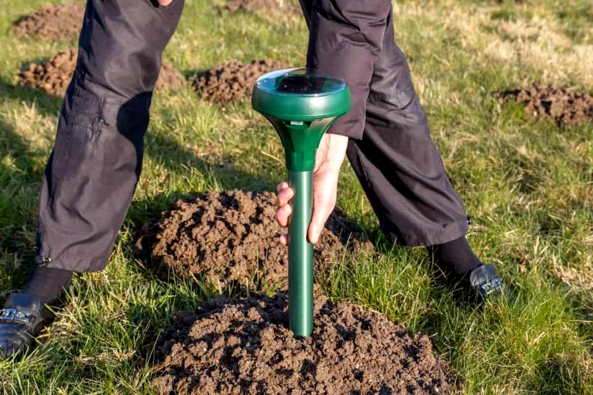 How Do Sonic Mole Repellers Work To Disperse Rodents