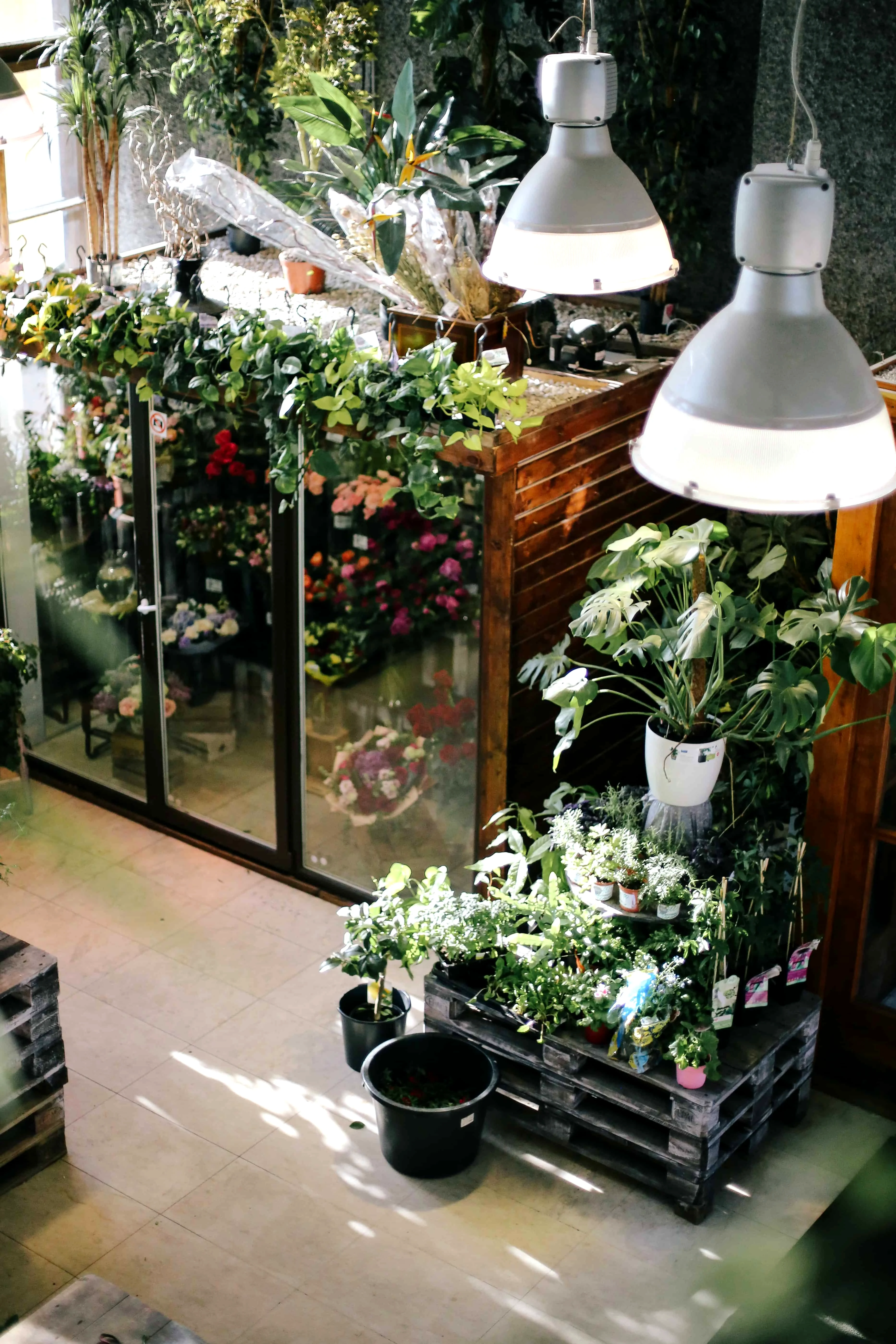 indoor garden with light